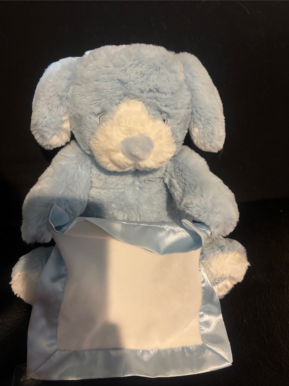 Blue Plush Peek a Boo Puppy